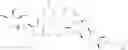 Fig. 87 - Tylosin A analogs and derivatives