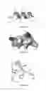 Fig. 07 - Anti-microbial peptides and methods of use thereof