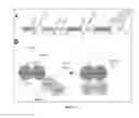 Fig. 03 - Method for preventing neoplastic transformation by inhibition of retinoblastoma protein inactivation