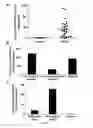 Fig. 02 - Methods and Pharmaceutical Compositions for Treatment of Gastrointestinal Stromal Tumors
