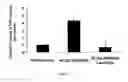 Fig. 04 - Methods and Pharmaceutical Compositions for Treatment of Gastrointestinal Stromal Tumors