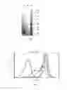 Fig. 02 - Anti-BLyS antibody