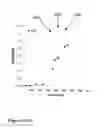 Fig. 35 - Control over reverse addition fragmentation transfer polymerization processes