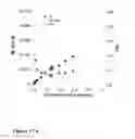 Fig. 44 - Control over reverse addition fragmentation transfer polymerization processes