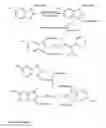 Fig. 07 - Fluorescent dyes