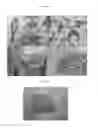 Fig. 09 - HORMONE RESPONSIVE TISSUE CULTURE SYSTEM AND USES THEREOF