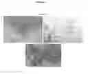 Fig. 08 - Methods of differentiating stem cells into chondrocytes