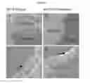 Fig. 09 - Methods of differentiating stem cells into chondrocytes