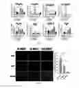 Fig. 02 - CELLULAR COMPOSITIONS USED TO RESTORE STEM CELL OR PROGENITOR CELL FUNCTION AND METHODS RELATED THERETO