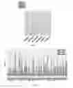 Fig. 07 - CELLULAR COMPOSITIONS USED TO RESTORE STEM CELL OR PROGENITOR CELL FUNCTION AND METHODS RELATED THERETO
