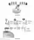 Fig. 02 - ENGINEERED YEAST FOR CELLULOSIC ETHANOL PRODUCTION