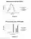 Fig. 06 - Polypeptides having protease activity