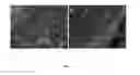 Fig. 08 - Microbial electrosynthetic cells