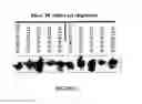 Fig. 02 - Double-stranded nucleic acid compounds
