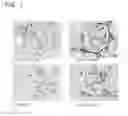 Fig. 02 - AGENT FOR TREATING RENAL FIBROSIS