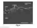 Fig. 06 - NUCLEIC ACID LIGANDS TO LL37