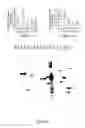 Fig. 06 - Transgenic Plants With RNA Interference-Mediated Resistance Against Root-Knot Nematodes