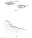Fig. 09 - BIOSENSOR COMPOSITIONS AND METHODS OF THEIR USE