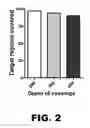 Fig. 05 - MOLECULAR SIGNATURE FOR AGGRESSIVE SQUAMOUS CELL CARCINOMAS OF THE HEAD AND NECK