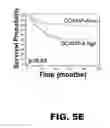 Fig. 12 - MOLECULAR SIGNATURE FOR AGGRESSIVE SQUAMOUS CELL CARCINOMAS OF THE HEAD AND NECK