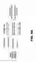 Fig. 28 - MOLECULAR SIGNATURE FOR AGGRESSIVE SQUAMOUS CELL CARCINOMAS OF THE HEAD AND NECK