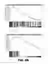 Fig. 29 - MOLECULAR SIGNATURE FOR AGGRESSIVE SQUAMOUS CELL CARCINOMAS OF THE HEAD AND NECK