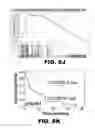 Fig. 34 - MOLECULAR SIGNATURE FOR AGGRESSIVE SQUAMOUS CELL CARCINOMAS OF THE HEAD AND NECK