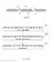 Fig. 04 - MASK AND MANUFACTURING METHOD THEREFOR
