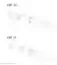 Fig. 09 - Method for manufacturing reinforcing fiber strand