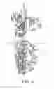 Fig. 07 - Grab bucket of an auger