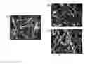 Fig. 01 - Sound-absorbing material and method for preparing the same
