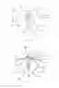 Fig. 08 - STEPLADDER WITH TOOL CARRIER