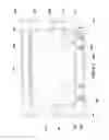 Fig. 06 - COOKING APPLIANCE SURFACES HAVING SPILL CONTAINMENT PATTERN AND METHODS OF MAKING THE SAME