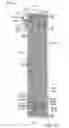 Fig. 35 - Heat exchanger including manifold