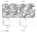 Fig. 07 - PROSTATITIS-ASSOCIATED ANTIGENS AND METHODS OF USE THEREOF