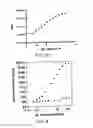 Fig. 08 - Antibodies, kit and method for detecting amyloid beta oligomers