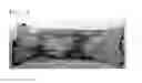Fig. 03 - Thin film polarizer, method of manufacturing the same, and polarizing plate and display device including the same