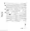Fig. 16 - Light directing film