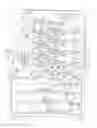 Fig. 02 - Electrophotographic photoreceptor