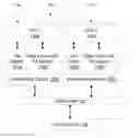 Fig. 01 - Coherence protocol augmentation to indicate transaction status