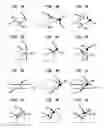 Fig. 04 - Local behavior in a variational system