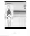 Fig. 05 - Avatar-based charting method and system for assisted diagnosis