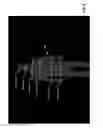 Fig. 11 - Body scan