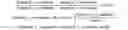 Fig. 02 - Image processing for launch parameters measurement of objects in flight