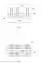 Fig. 07 - Planarization process