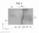 Fig. 06 - OPTICAL SEMICONDUCTOR ELEMENT