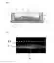 Fig. 02 - Light emitting device and method of manufacturing thereof