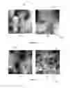Fig. 11 - Creation of high-pinning microstructures in post production YBCO coated conductors