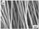 Fig. 01 - Nanofiber and photovoltaic device comprising patterned nanofiber
