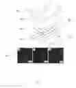 Fig. 14 - Nanofiber and photovoltaic device comprising patterned nanofiber